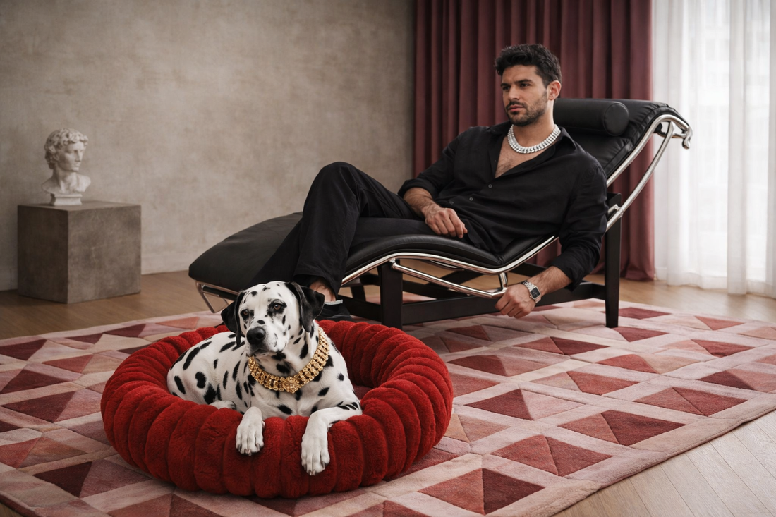 lit pour chien confortable design PetHouse