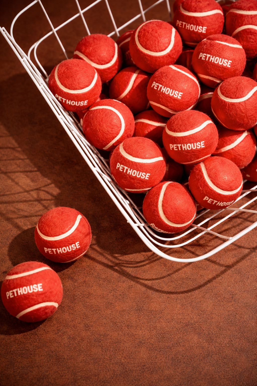 Jeux & Divertissement