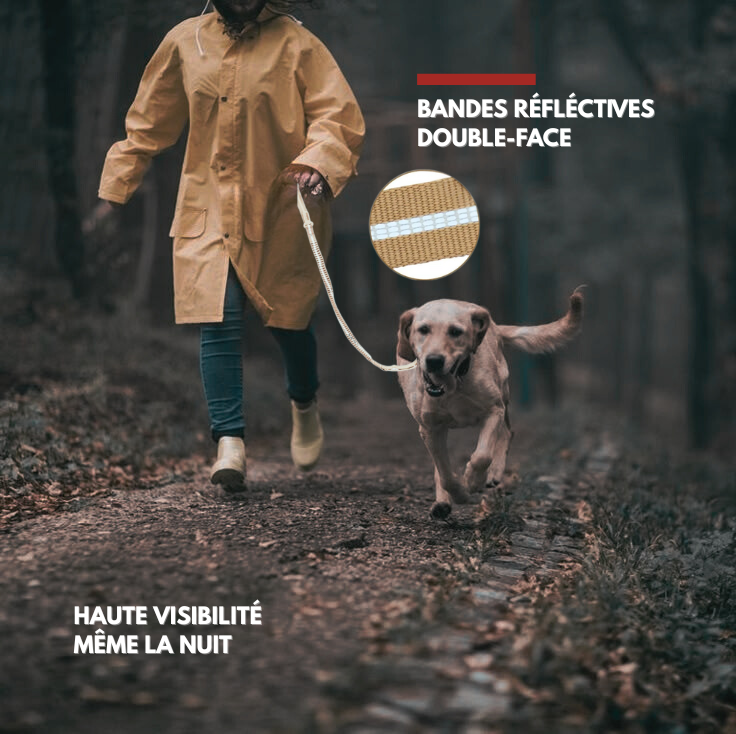 Laisse Anti-Traction – Sécurité Premium