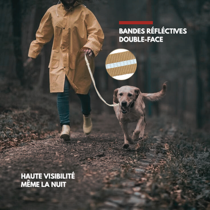 Laisse Anti-Traction – Sécurité Premium