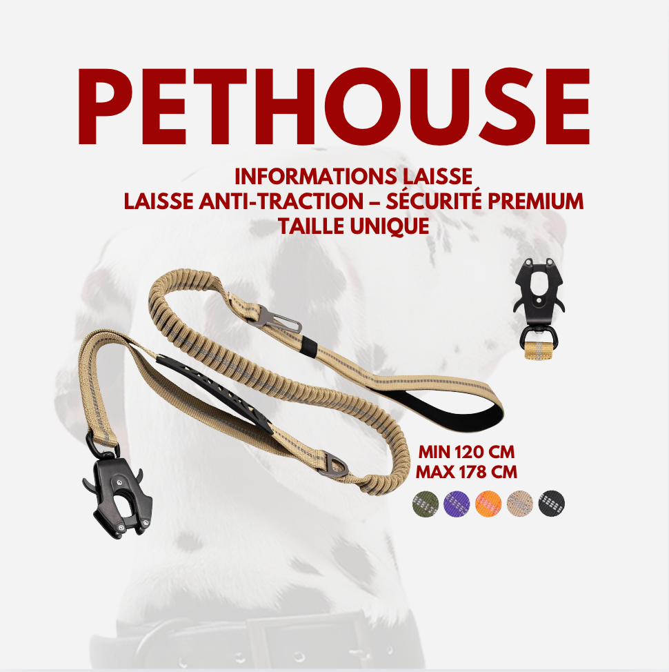 Laisse Anti-Traction – Sécurité Premium