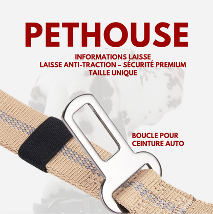 Laisse Anti-Traction – Sécurité Premium