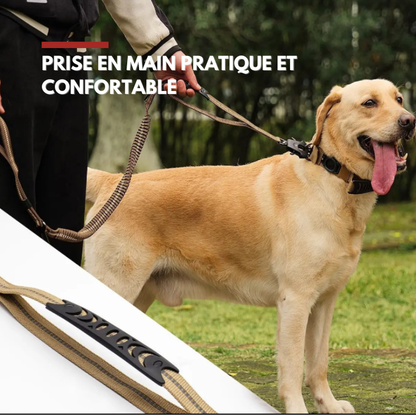 Laisse Anti-Traction – Sécurité Premium