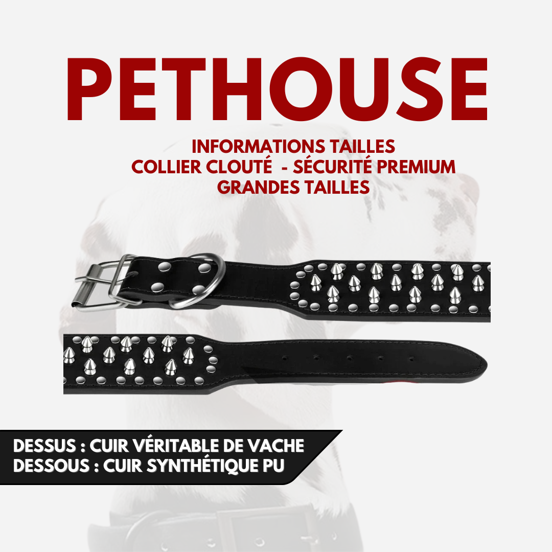 Collier clouté CUIR 100% - Protection Premium