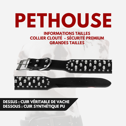 Collier clouté CUIR 100% - Protection Premium