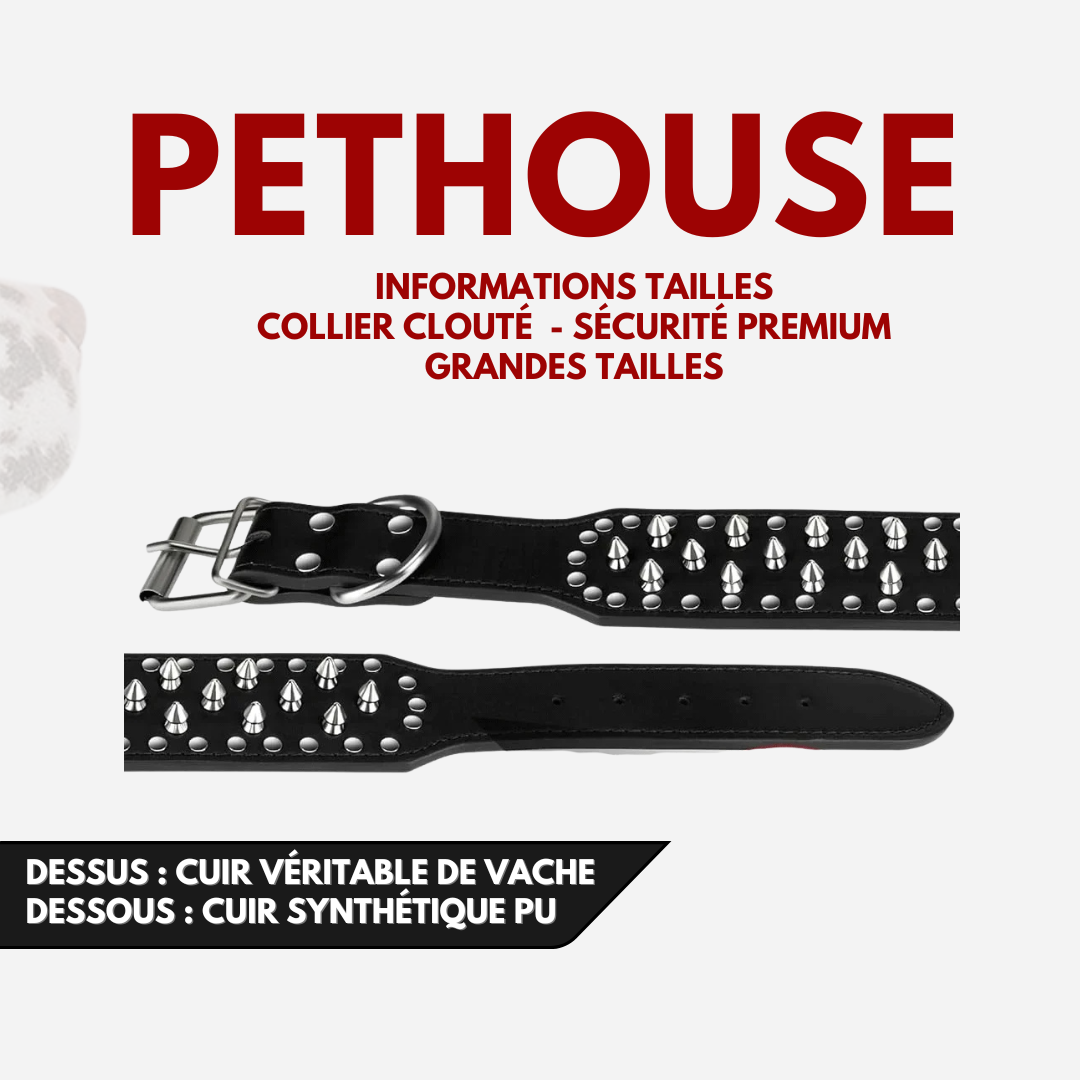 Collier clouté CUIR 100% - Protection Premium