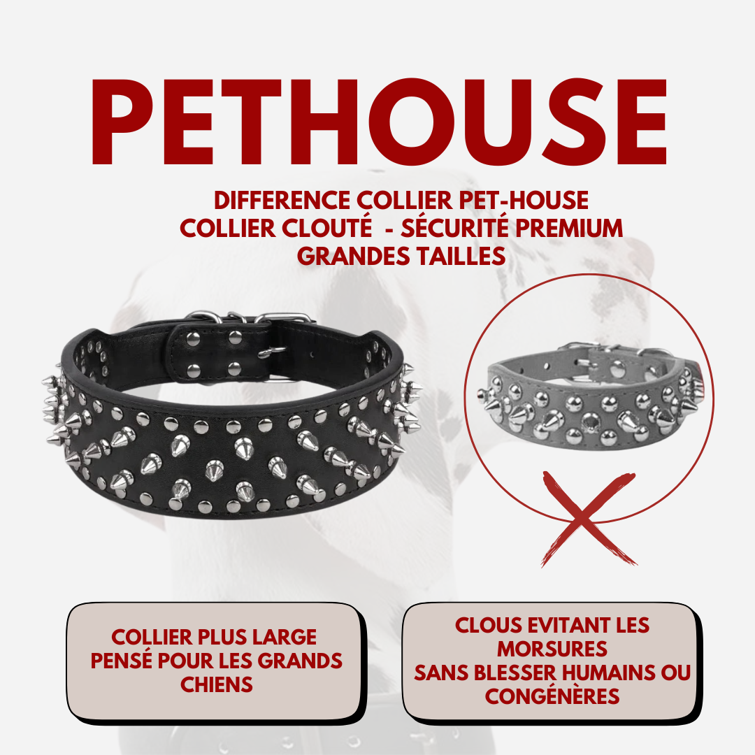 Collier clouté CUIR 100% - Protection Premium