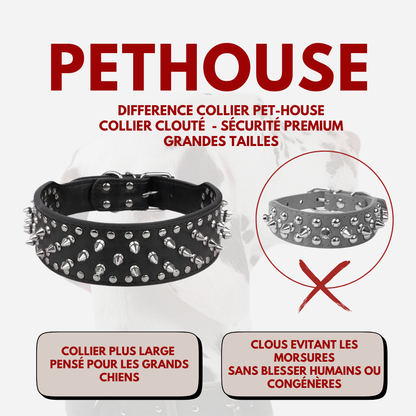 Collier clouté CUIR 100% - Protection Premium