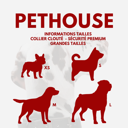 Collier clouté CUIR 100% - Protection Premium