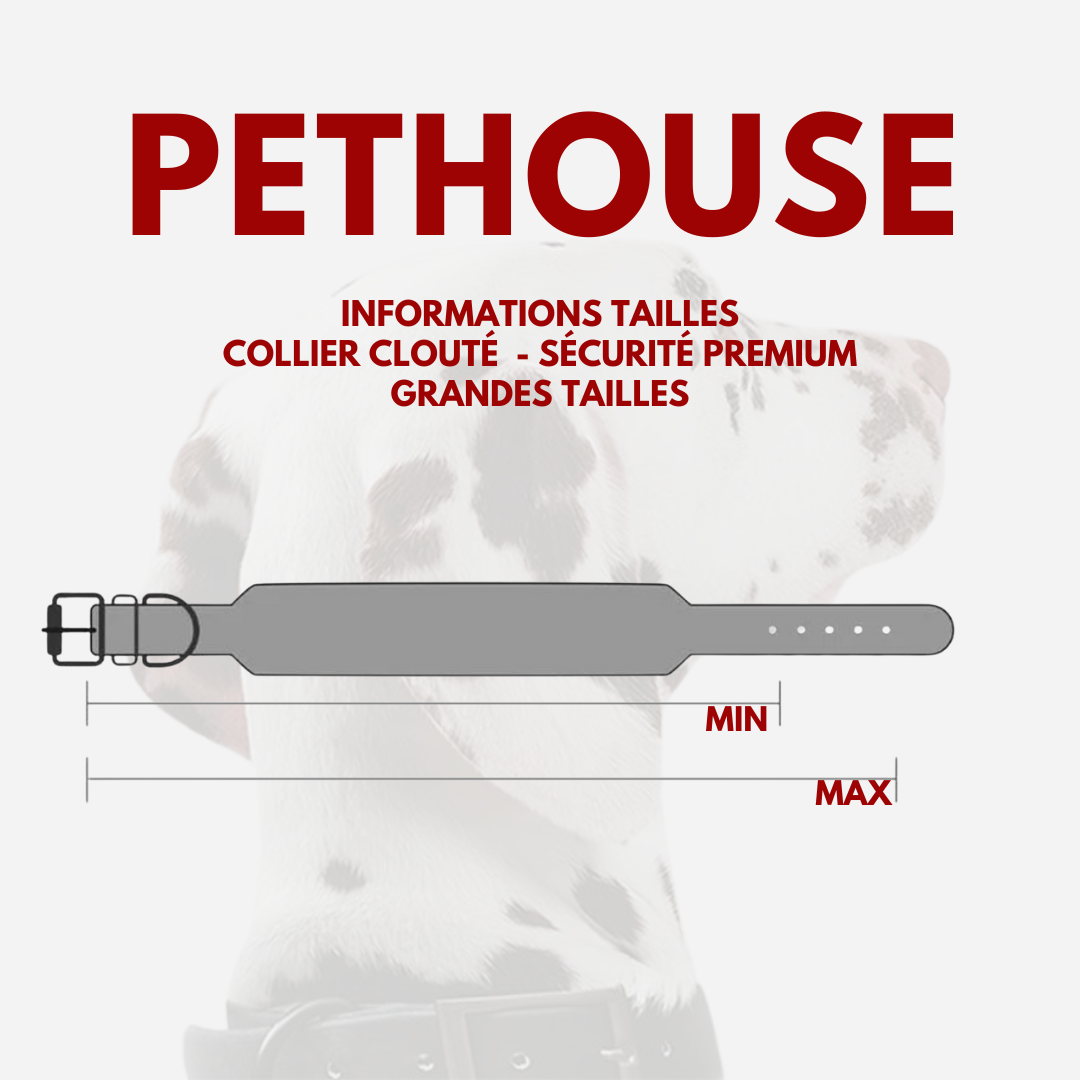 Collier clouté CUIR 100% - Protection Premium