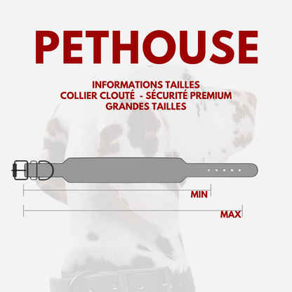 Collier clouté CUIR 100% - Protection Premium