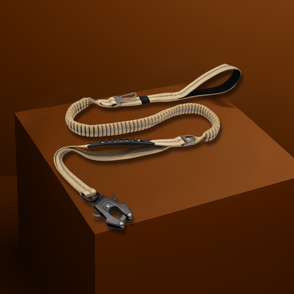 Laisse Anti-Traction – Sécurité Premium