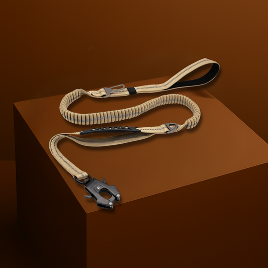 Laisse Anti-Traction – Sécurité Premium