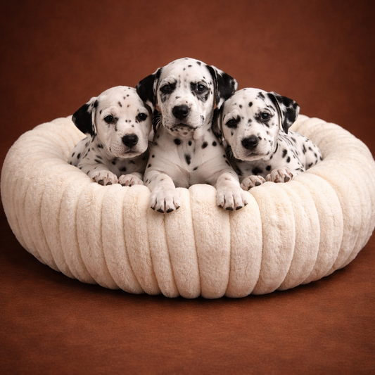 Lit Cocoon Signature - Confort Premium