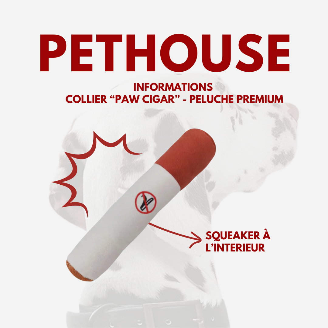 Jouet "PAW cigar" - Peluche Premium
