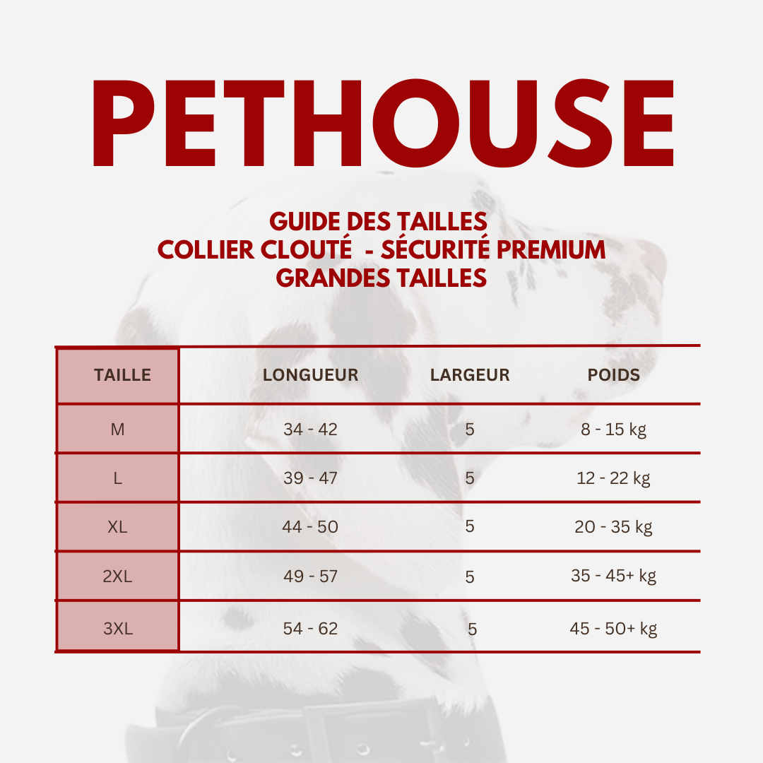 Collier clouté CUIR 100% - Protection Premium