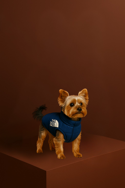 Gilet printemps / automne - Protection Premium